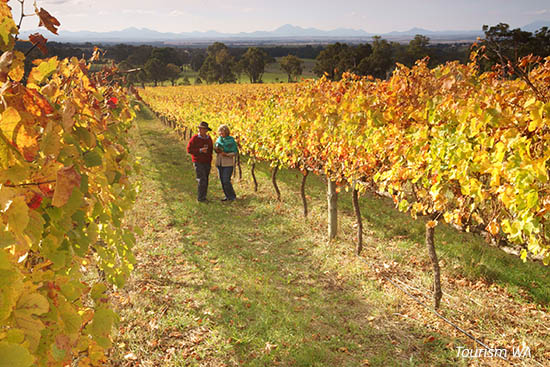 Couple in vines