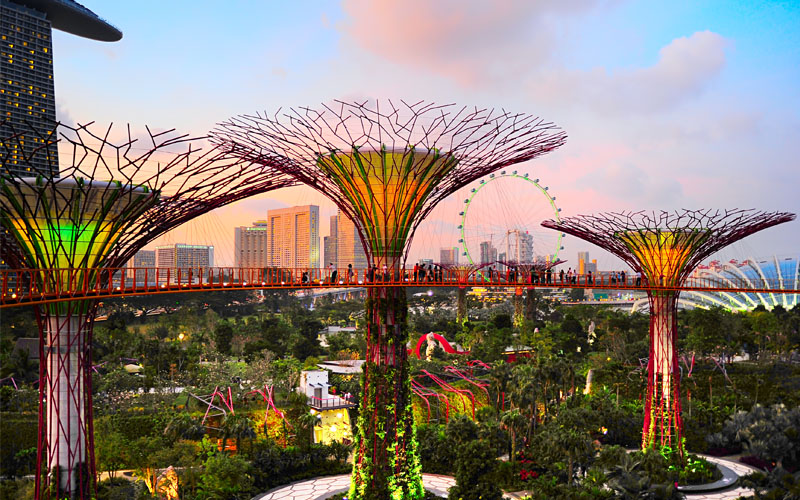 Singapore Super Tree Grove