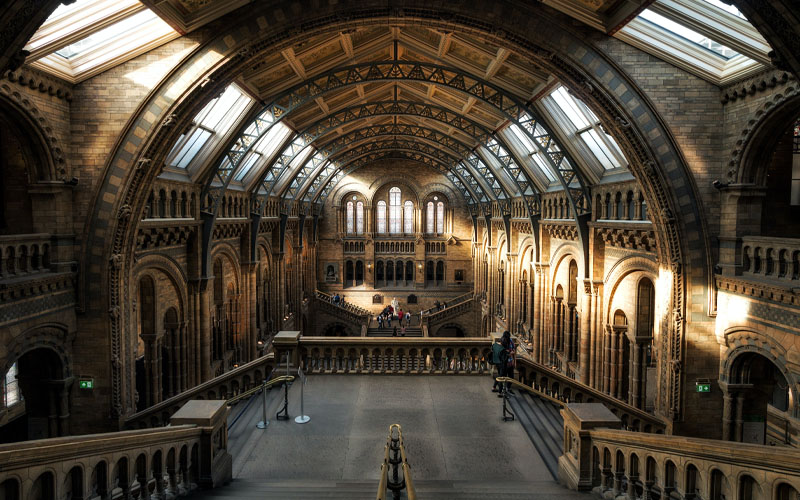 Natural History Museum