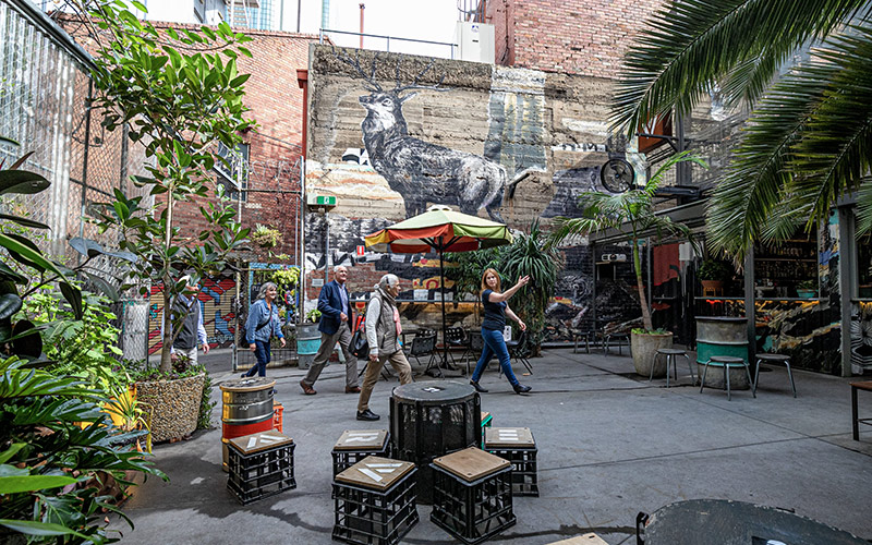Group of people standing in a narrow laneway covered in colourful graffiti while a guide points to artwork on the wall