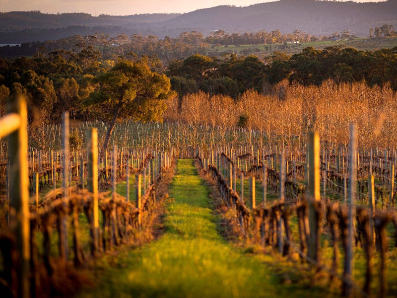 Tamar Valley-Rob Burnet 600x800