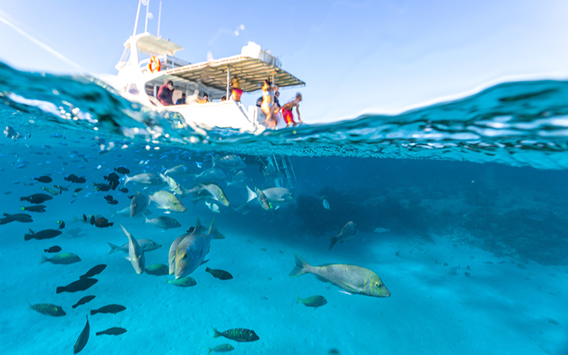 Snorkelling at Coral Bay