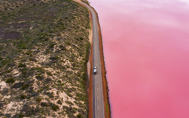 Aerial view of a straight road with a vehicle driving between a bright pink lake and coastal scrubland.